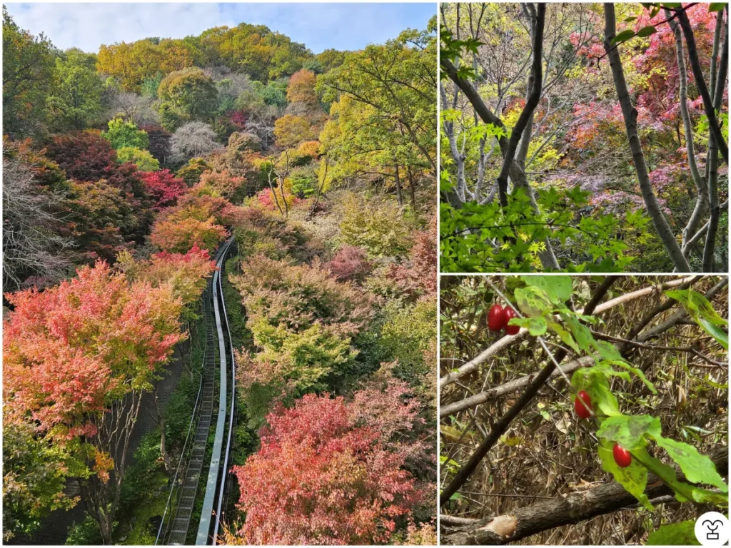 モノレールの軌道