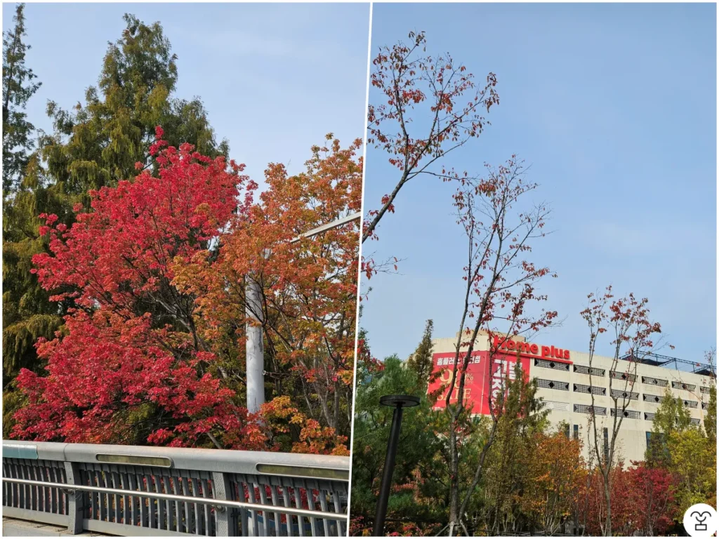 一山湖水公園へ向かう途中。閉店を控えたホームプラス。