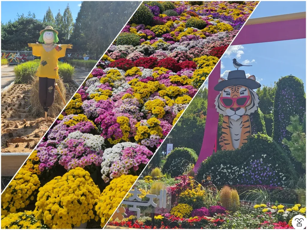2025年 高陽秋の花祭り