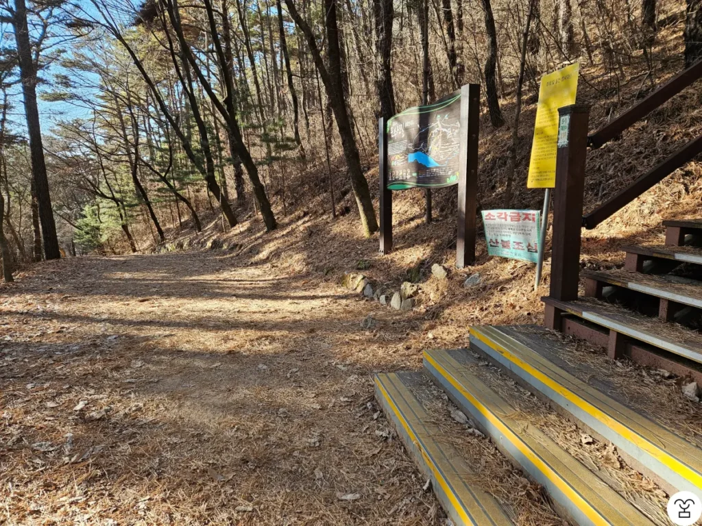 1コースのスタートは階段