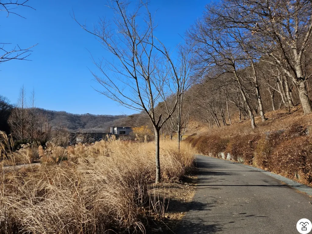 振り返ると、ビジターセンターが見える。