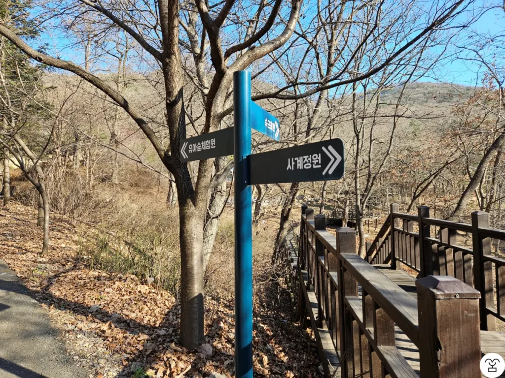 幼児森体験園の方向へ進む。