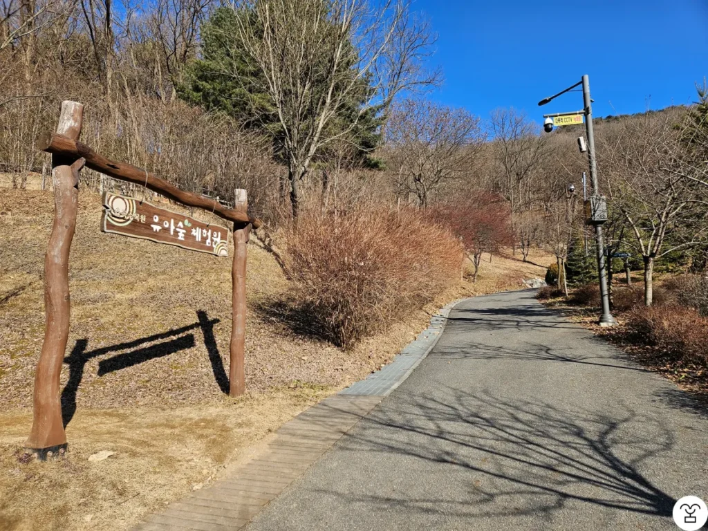 幼児森体験園は左側にあるが、そのまま通り過ぎて直進する。