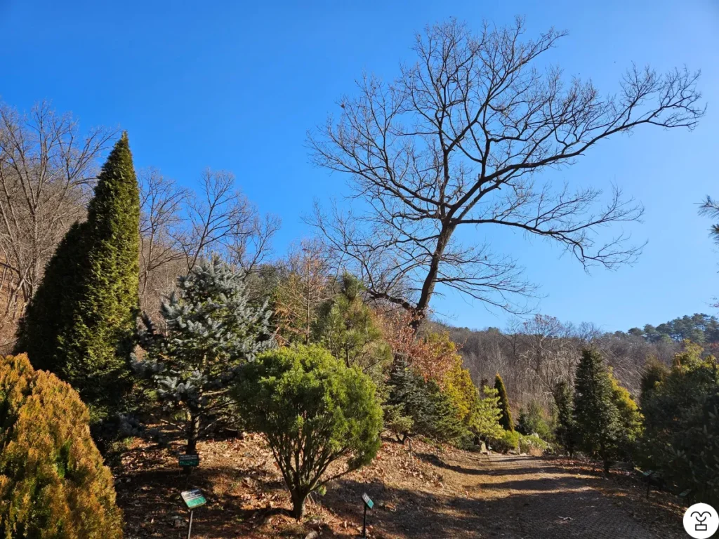 木が見えるが、こちらには進まない。