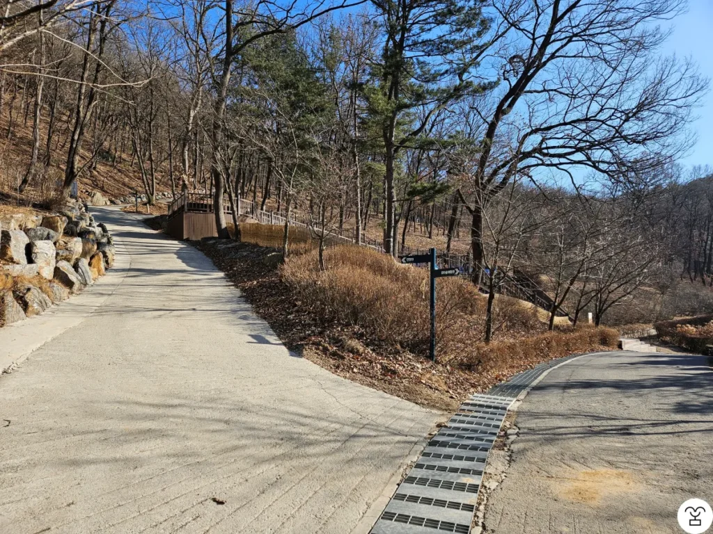 再び分かれ道が現れたら、左の道を選ぶ。