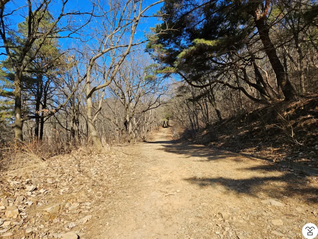 この道が見えたら、そのまま直進する。