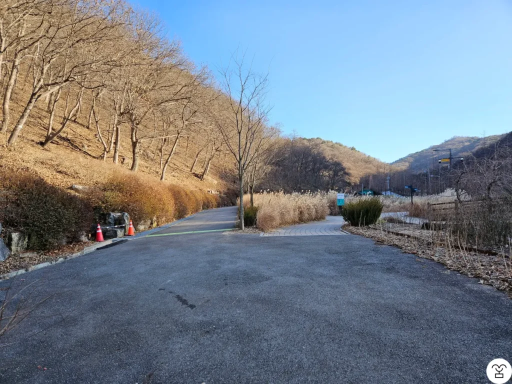 分かれ道が見えたら、左の道を選ぶ。