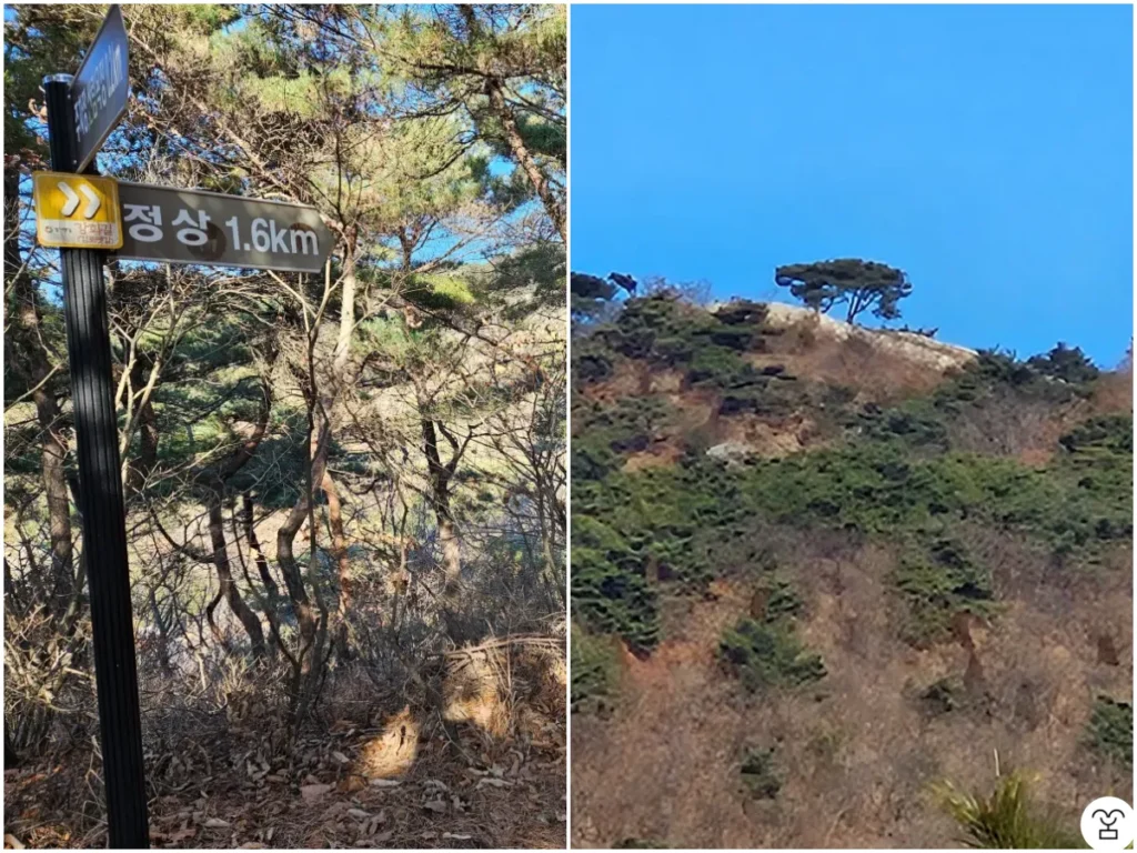 左の写真。木製階段の第1区間が終わると、山頂まで残り1.6キロメートルと書かれた標識が見える。
右の写真。山頂のように見える場所があるが、そこは山頂ではない。