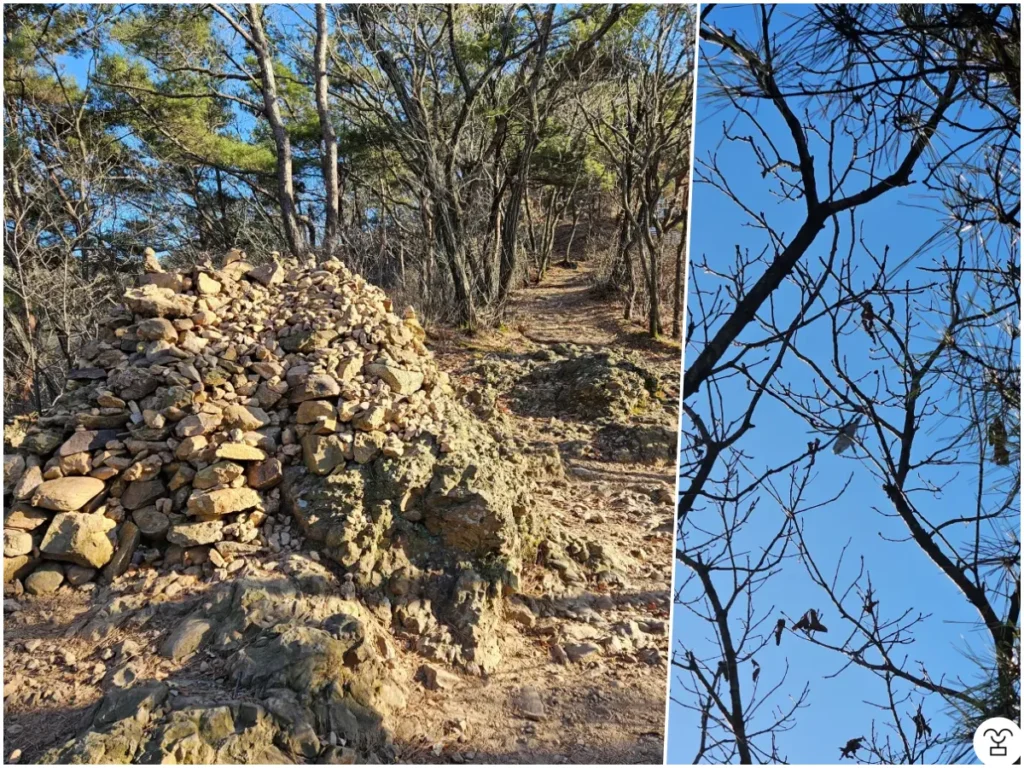 右の写真、ヘリコプターが1機旋回していた。理由は分からない。
ヘリコプターを調べてみて