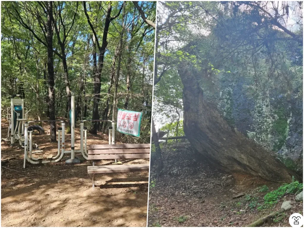 左の写真、中央の道を通ってここまで登ると、急な登りはここで終わり。
右の写真、この大きな岩がある場所から、山頂まで残りの階段は20段ほどだろうか。